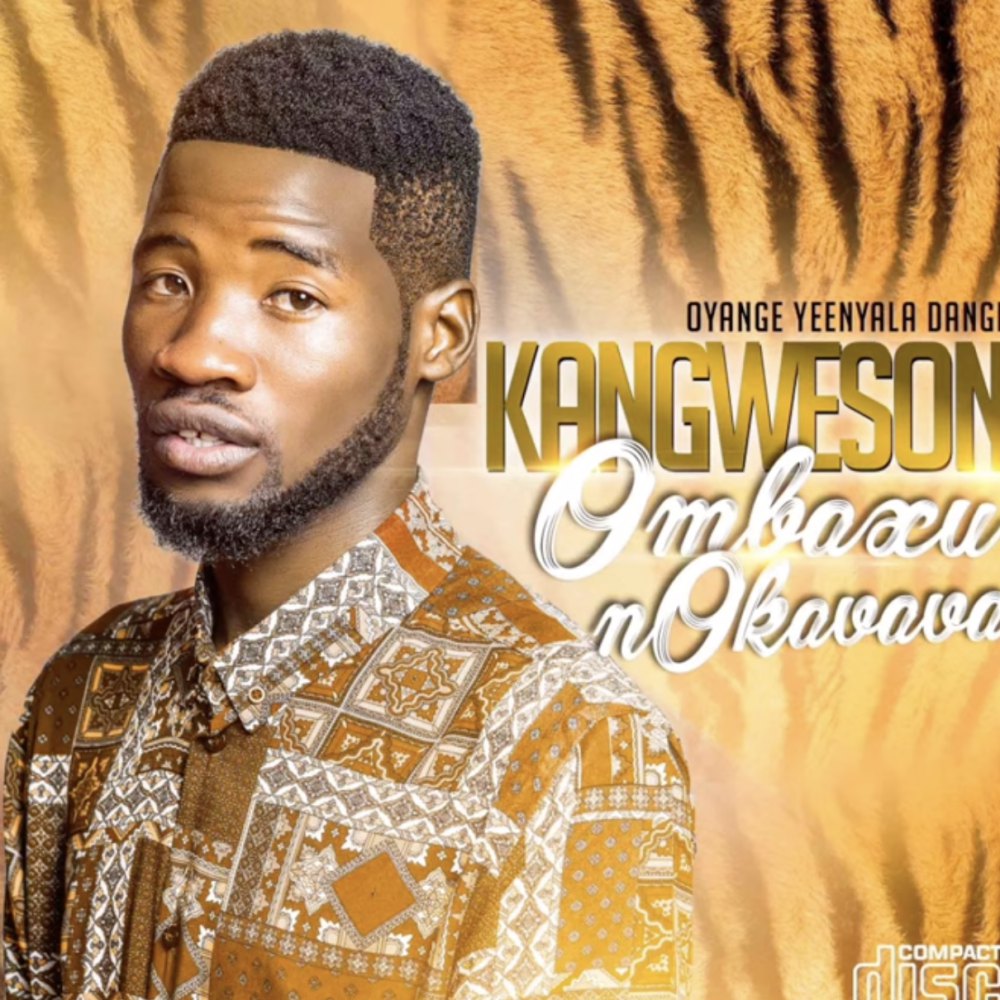 Ombaxu nOkavava album cover
